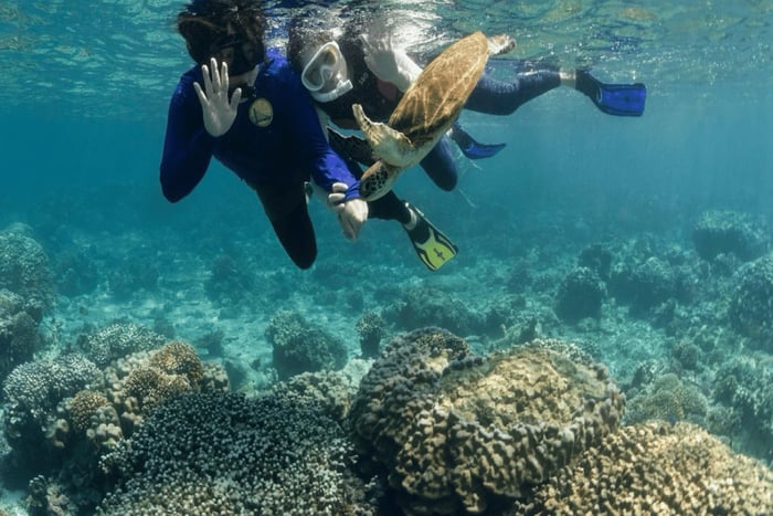 Muscat:Daymaniyat Islands Boat Tour with Snorkeling & Brunch