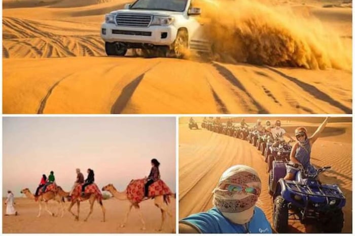 Qatar’s Golden Sands: Safari, Sandboarding & Camel Ride