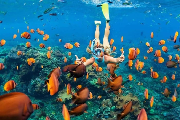 Ras Mohammed Snorkeling Boat Tour