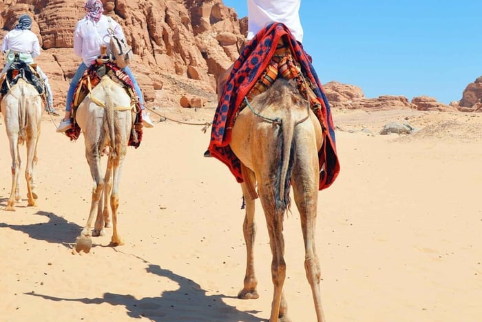 Sharm: mega avventura in quad, parasailing e banana boat
