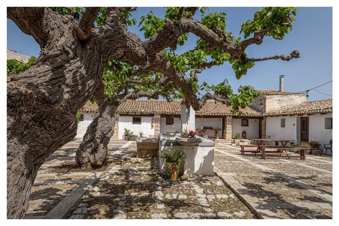Alcamo: Van boerderij tot bord – wijnlunch/-dinerervaring