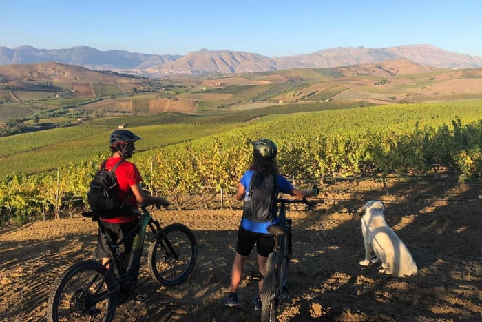 Camporeale: Guided E‑bike Tour and Vineyard Picnic