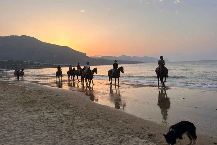 Castellammare del Golfo: ridetur ved sjøen med guide