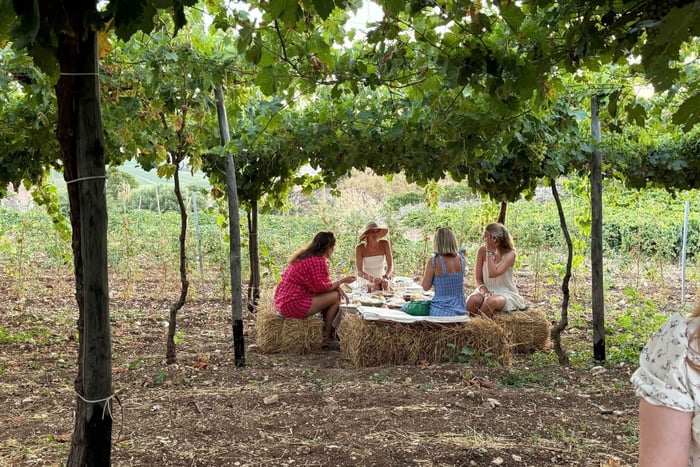 Castellammare del Golfo: Wine Tasting & Winery Tour