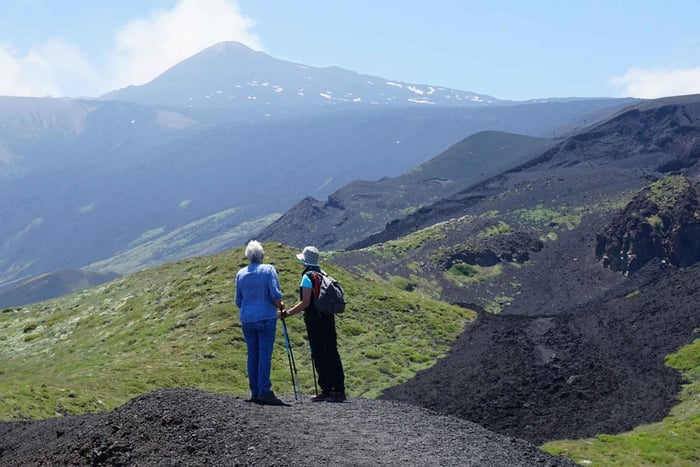 Catania: Morgentur til Etna med smagsprøver og lavahule