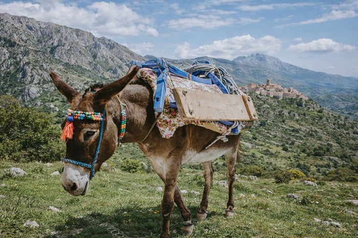 Donkey-Stepping Mountain Trek - Castelbuono to the Madonie
