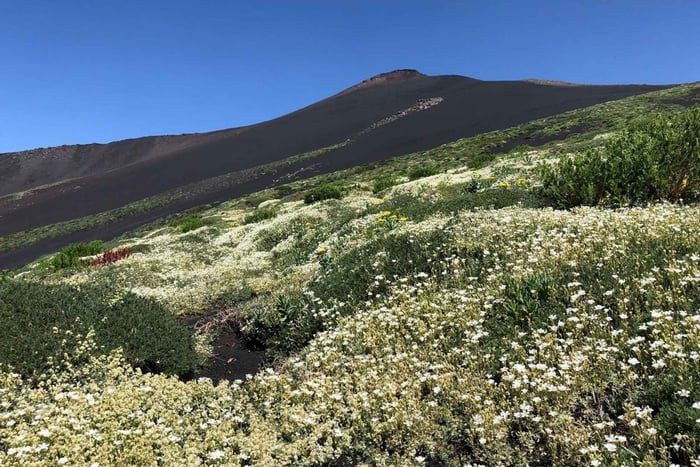 Etna: tour en 4x4 al atardecer con «aperidulce» y cueva volcánica