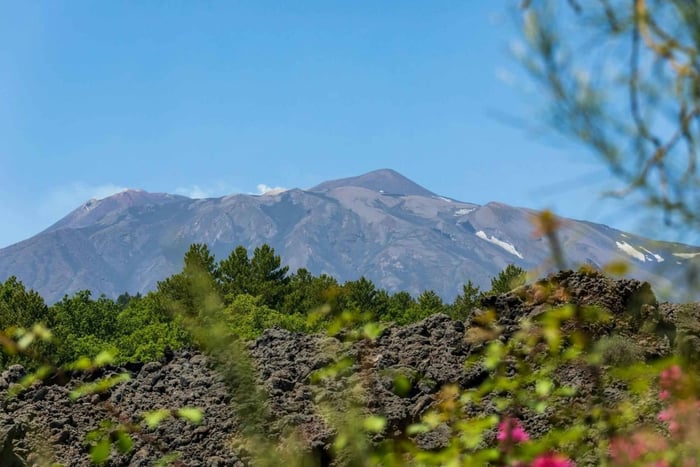 From Cefalù: Mount Etna 1900m & Taormina