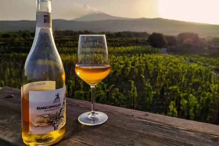 Saindo de Taormina: Passeio de um dia inteiro no Monte Etna e degustação de vinhos com almoço