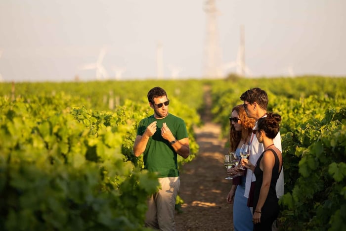 Marsala: Baglio Oro, visit to the winery and vineyard with a tasting of 4 wines