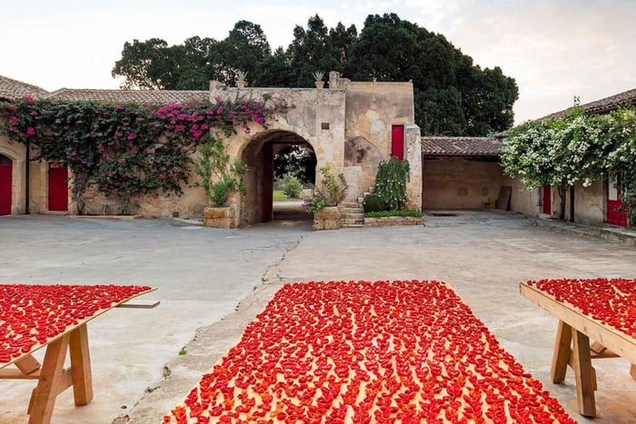 Noto Baroque Tour and Wine Tasting in the Cellar in the Sicilian Vineyards