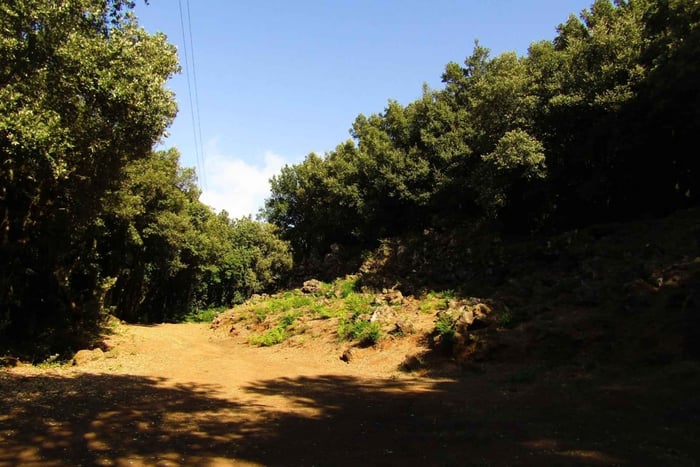Pantelleria: Baño de bosque