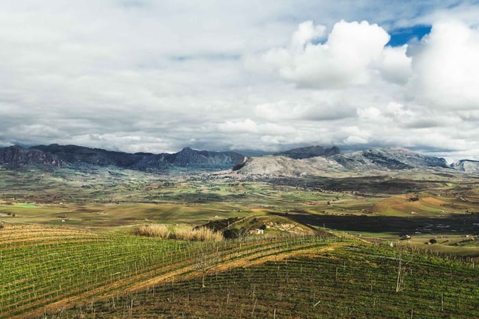 Porta del Vento Wine Tasting Lunch