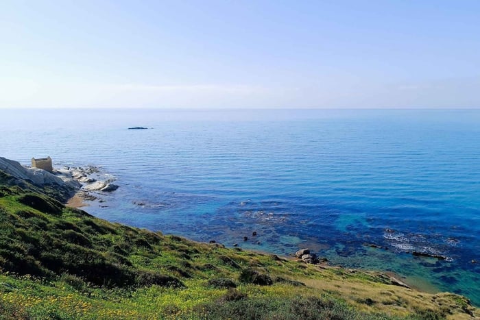 Punta Bianca: a walking tour between sea and nature