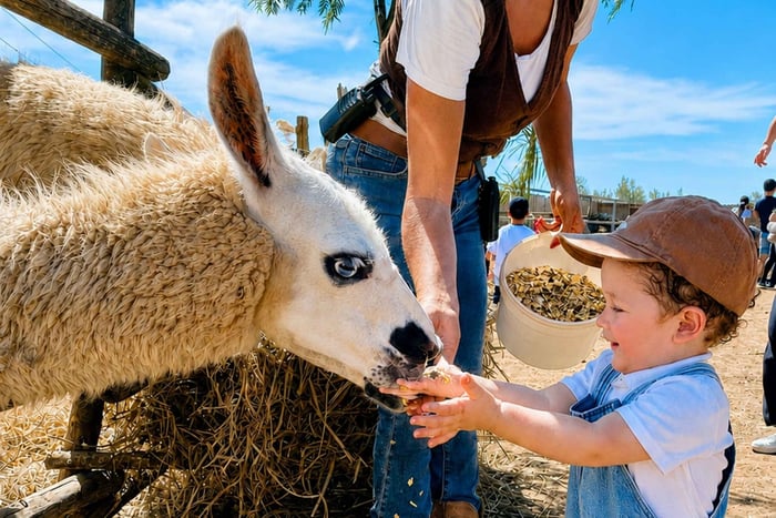 Ribera: Guided tour among the farm animals