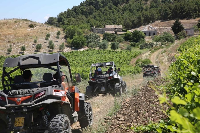 Sicily: Off-Road ATV Buggy Tour