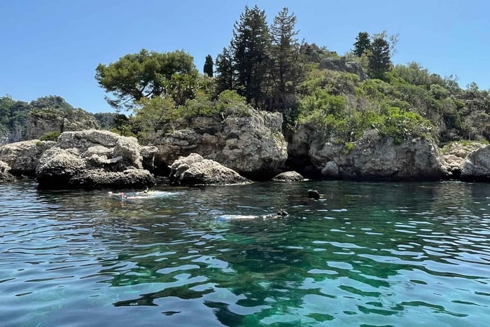 Taormine : éco-visite avec dauphins et vie marine