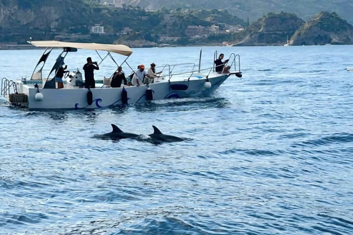Taormina: Sunset Cruise, Dolphins in their Habitat, and Typical Apericena