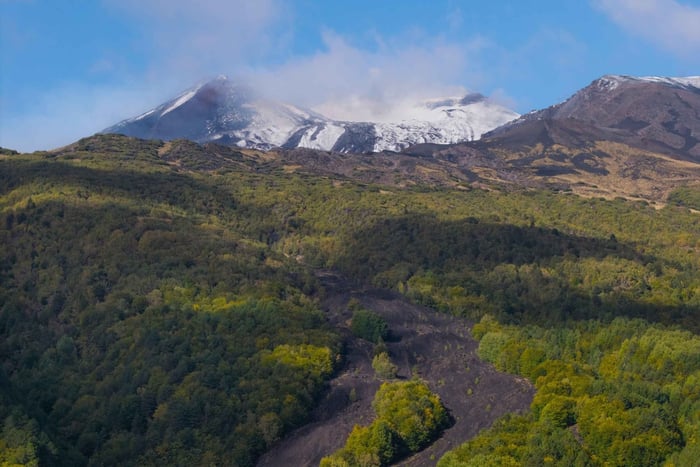 Tour of the Cubania private bio park on Etna for groups with tasting
