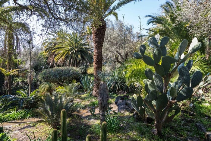 Recorrido por el jardín histórico del Parque Paternò del Toscano, a un paso de Catania