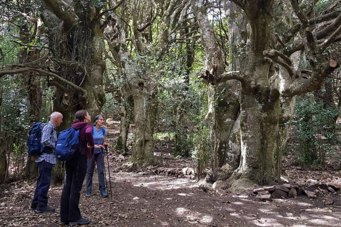 カステルブオーノを出発し、マドニエ自然公園の中心部でトレッキングをお楽しみください。