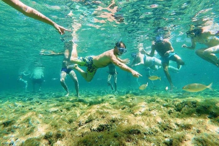 Ustica: Snorkeling in Zone A of the Marine Protected Area