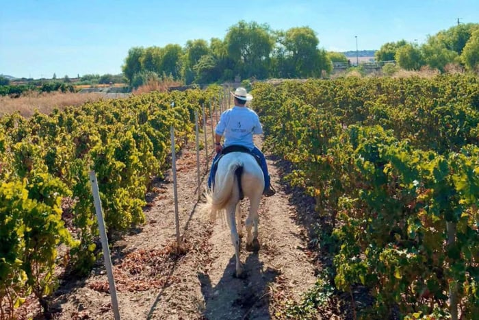 Val di Noto: Horseback ride through olive groves and citrus orchards