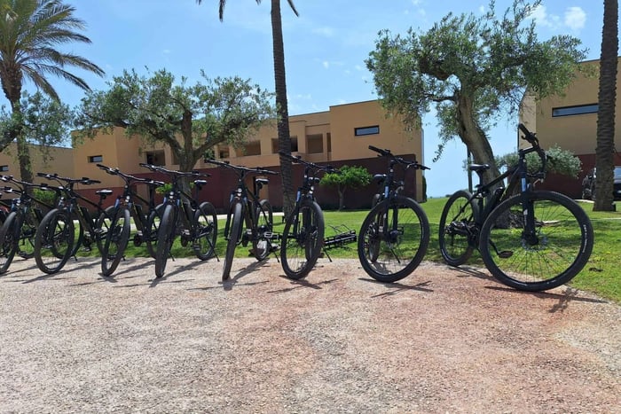 Valle del Belice: E-Bike Rental for Self-Guided Rides