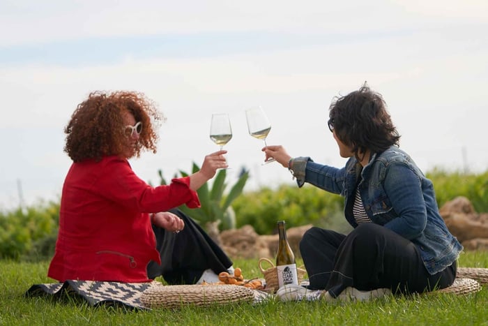 Picknick in de wijngaard met wijnproeverij bij wijnmakerij Fabio Ferracane