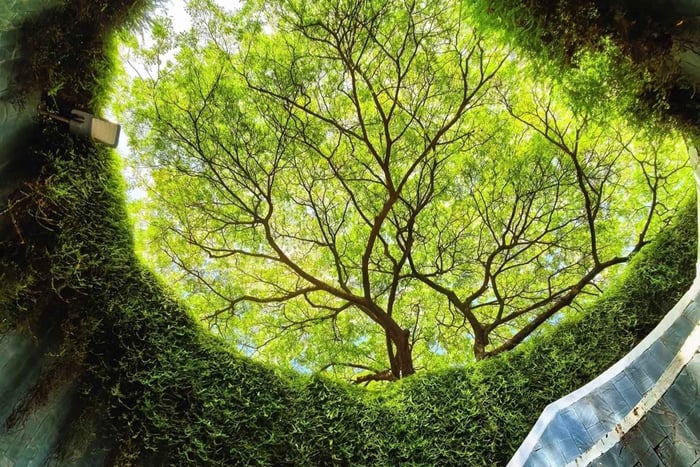 Singapour : visite de 12 lieux d'intérêt avec temps libre et transferts