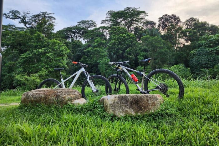 Bicycle Rental with Delivery
