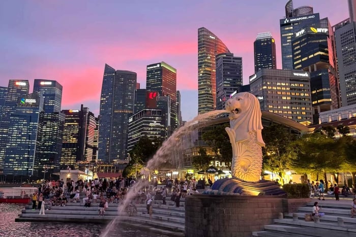 City Highlights, Zoo, and Night Safari Tour