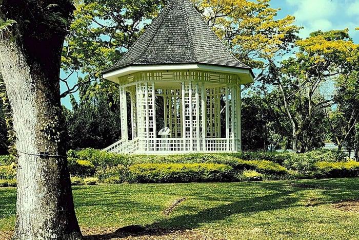 Singapura: Descubra as joias do Jardim Botânico da UNESCO e orquídeas raras