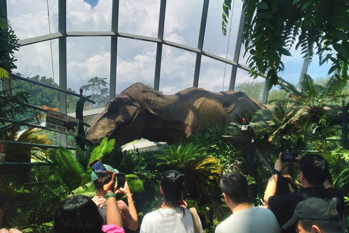 Gardens by the Bay and Fountain of Wealth Tour