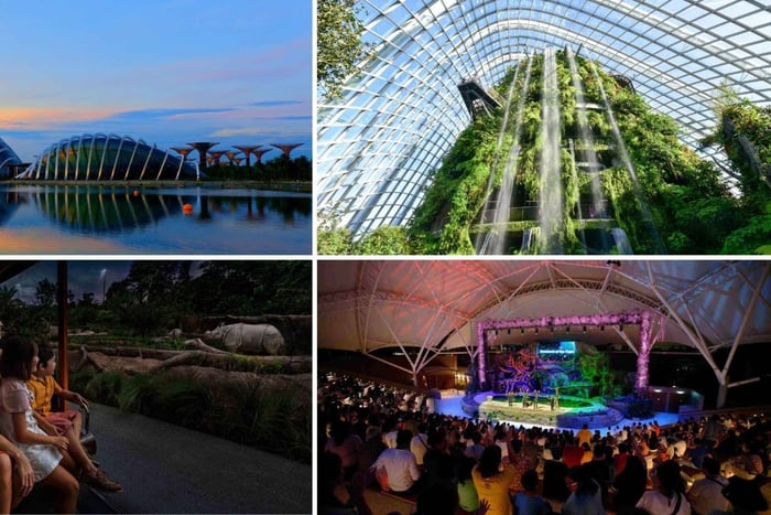 Gardens by the Bay and Night Safari Tour
