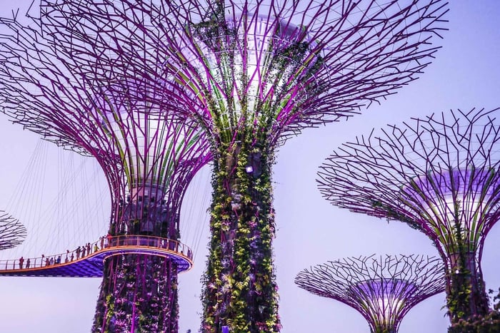 Gardens by the Bay-Cloud Forest-Flower Dome Guide and Ticket