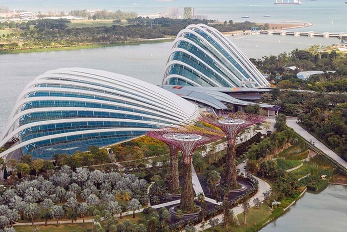 Gardens by the Bay Domes & Light Shows Tour