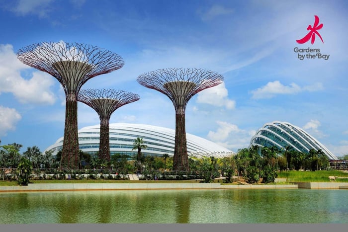Billet pour Gardens by the Bay avec déjeuner buffet au Rise