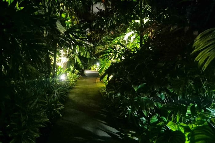 Glow with the Flow: Singapore's Illuminated River Experience