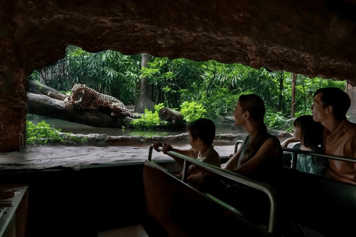 Singapour : visite d'une journée avec visite du jardin botanique