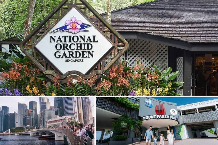Half Day Sightseeing Guided Tour with National Orchid Garden