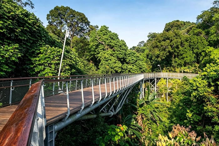 La Singapore nascosta: foresta pluviale, ferrovie e storie locali