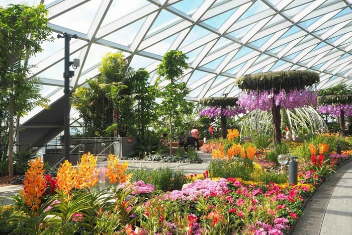 Aéroport Jewel Changi : Billet pour le labyrinthe et le parc à baldaquin