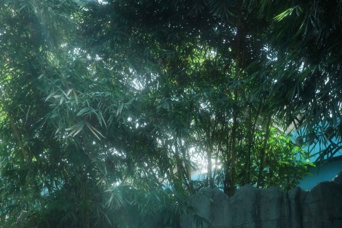 Mandai Wildlife Reserve & Night Safari Transfer