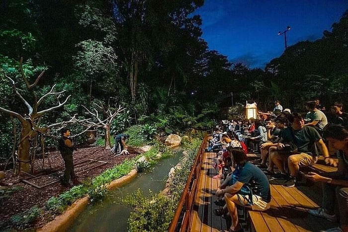 Billet d'entrée pour le Night Safari avec spectacle