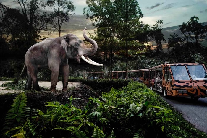 Сингапур: Night Safari с трансфером из отеля и ужином «шведский стол»