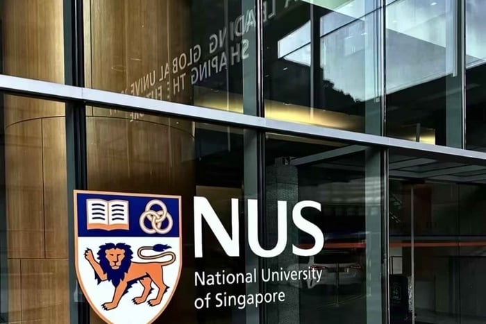 Singapour : visite des campus universitaires de la NUS et de la NTU avec transfert