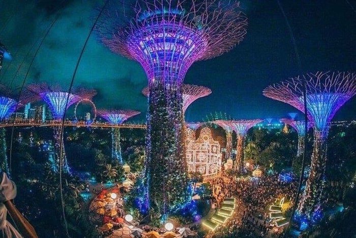 OCBC Skyway, Flower Domkuppel & Wolkenwald: Gardens by the Bay