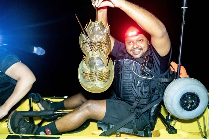 Pulau Ubin: Night Kayak Adventure with Seafood Meal