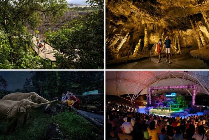 tour guidato di Rainforest Wild Asia e Night Safari